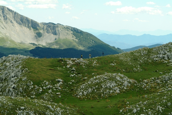 Sculture naturali